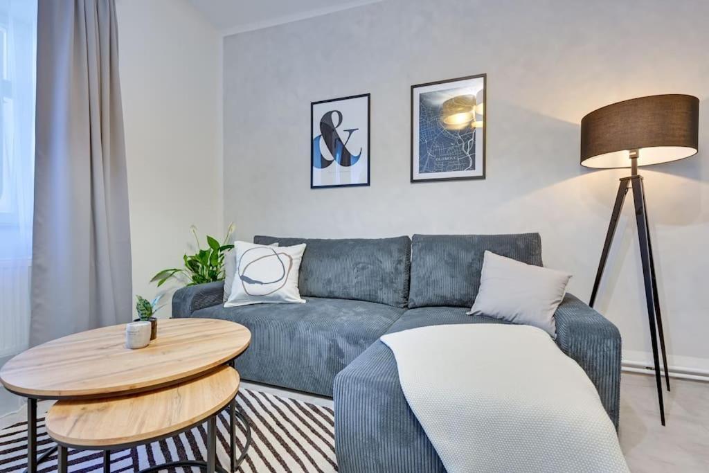 Apartament Viennacek *